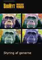 BioNyt nr.132: Chimpansen og mennesket / Styring af generne.