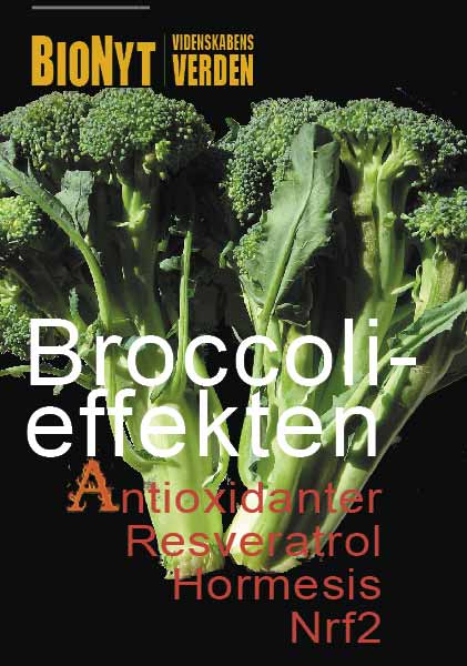 BioNyt nr.153: Antioxidanter - frugt&grønt - resveratrol i røde druer - hormesis 