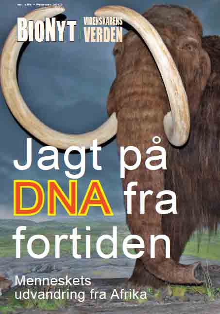 BioNyt nr.154: Jagt på DNA fra fortiden