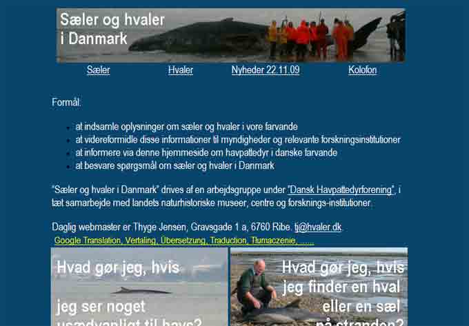 Hvaler.dk viser seneste observationer af havpattedyr i Danmark