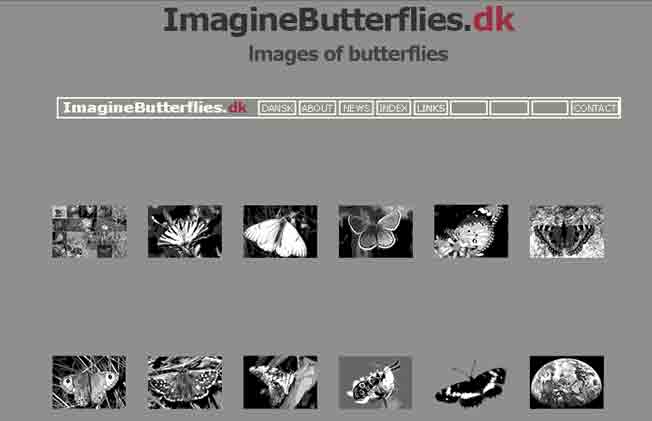 http://imaginebutterflies.dk