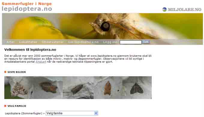 www.lepidoptera.no